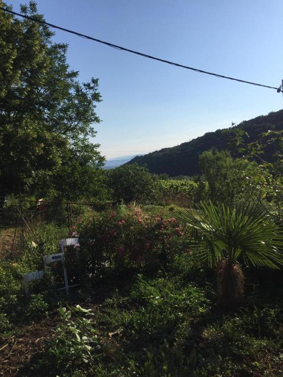 Apartment Cimbora, Salara Farmhouse Koper Eksteriør bilde
