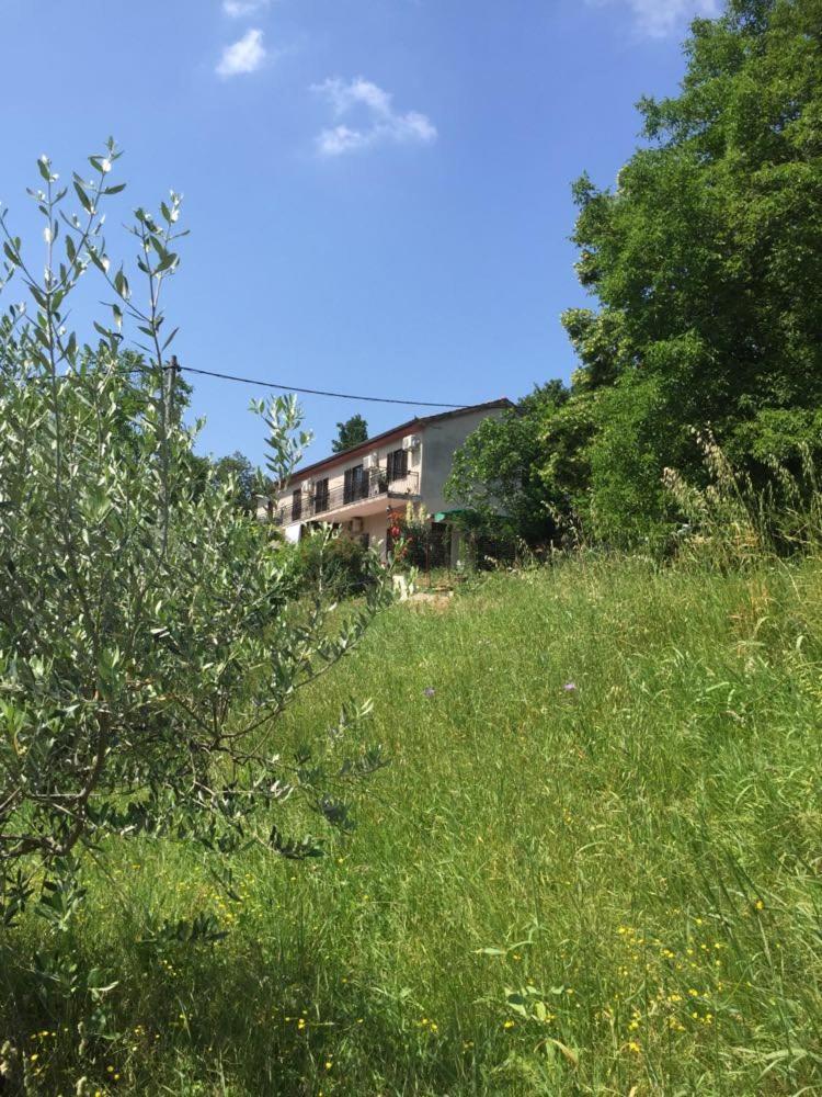 Apartment Cimbora, Salara Farmhouse Koper Eksteriør bilde
