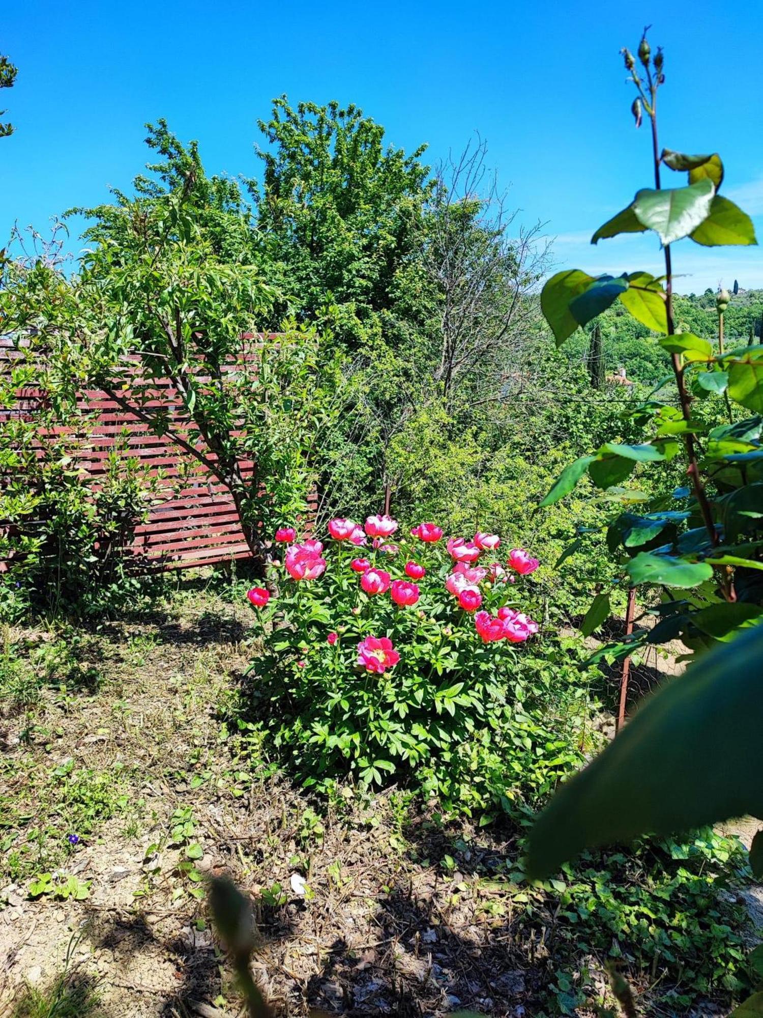 Apartment Cimbora, Salara Farmhouse Koper Eksteriør bilde